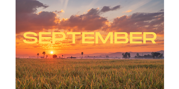 【今月のおすすめ】9月は1アイテム