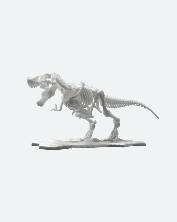 LIMEX恐竜骨格プラモデル